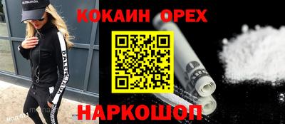 крисы Новозыбков