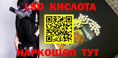 крисы Новозыбков