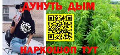 крисы Новозыбков