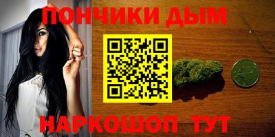 крисы Новозыбков