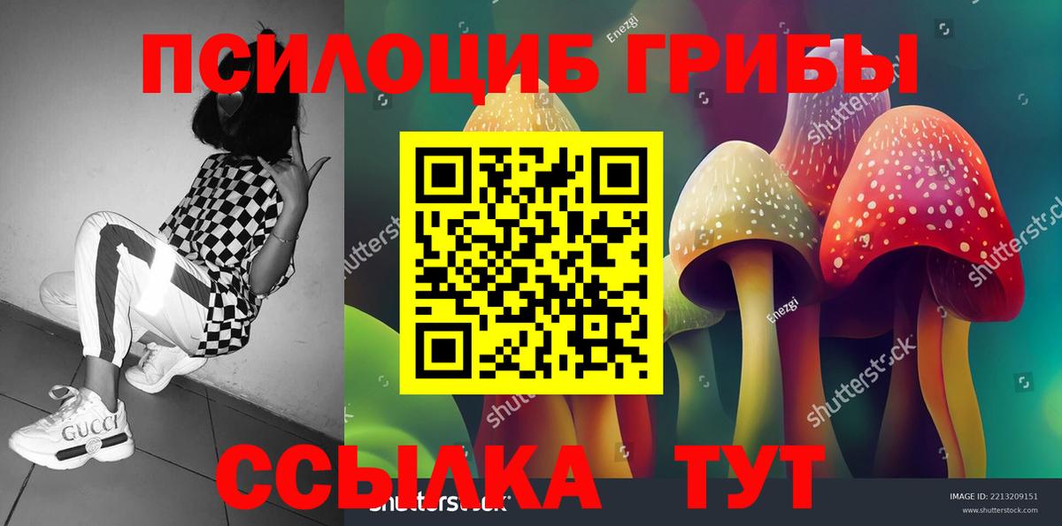 Торжок  купить наркоту  Псилоцибиновые грибы Psilocybe  Вход с VPN  Псилоцибиновые грибы MAGIC MUSHROOMS 